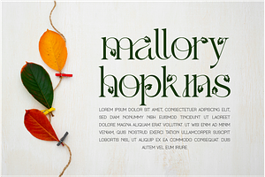 Alketa Nature Font