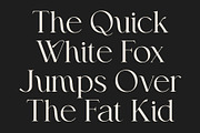 CS Avida – Elegant Serif Font, a Serif Font by Craft Supply Co. (Thumbnail 4 of 8)