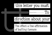 Scripter - Typewriter Font, a Serif Font by Typia Nesia (Thumbnail 6 of 11)
