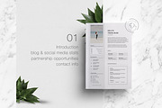 Blog Media Kit - 1 Page, a Resume Template by Leo Resume (Thumbnail 3 of 5)