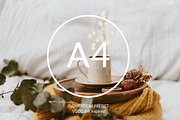 Desktop Lightroom Presets BARBERRY, an Action Add-On by Victoria Bee Presets (Thumbnail 2 of 14)