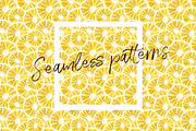 Lemon in botanical style, a Food Illustration by Ann Astro (Thumbnail 4 of 9)