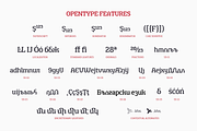 TA Shusha, a Slab Serif Font by TAFT Foundry (Thumbnail 2 of 13)