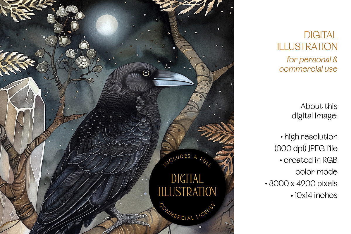 Crystal Raven Esoteric Illustration, an Animal Illustration by The Dutch Lady Designs (Photo 4 of 4)