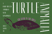 Aguero Sans Rough, a Sans Serif Font by Craft Supply Co. (Thumbnail 2 of 8)