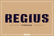 Regius Typeface, a Serif Font by Jan-Christian Bruun (Thumbnail 3 of 12)