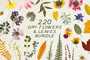 Entire Store Bundle Graphics, a Social Media Template by Sparrow & Snow (Thumbnail 8 of 46)
