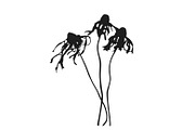 Botanical bundle - svg, png, a Decorative Illustration by Watercolor_Vector Graphic (Thumbnail 10 of 26)