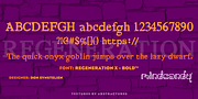 RegenerationX™, a Serif Font by MINDCANDY (Thumbnail 2 of 2)