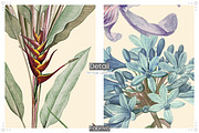 Lilacism Floral Seamless pattern, a Pattern Graphic by Fabrivo (Thumbnail 9 of 10)
