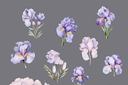 Iris Flowers, a Decorative Illustration by Vasmila (Thumbnail 8 of 9)