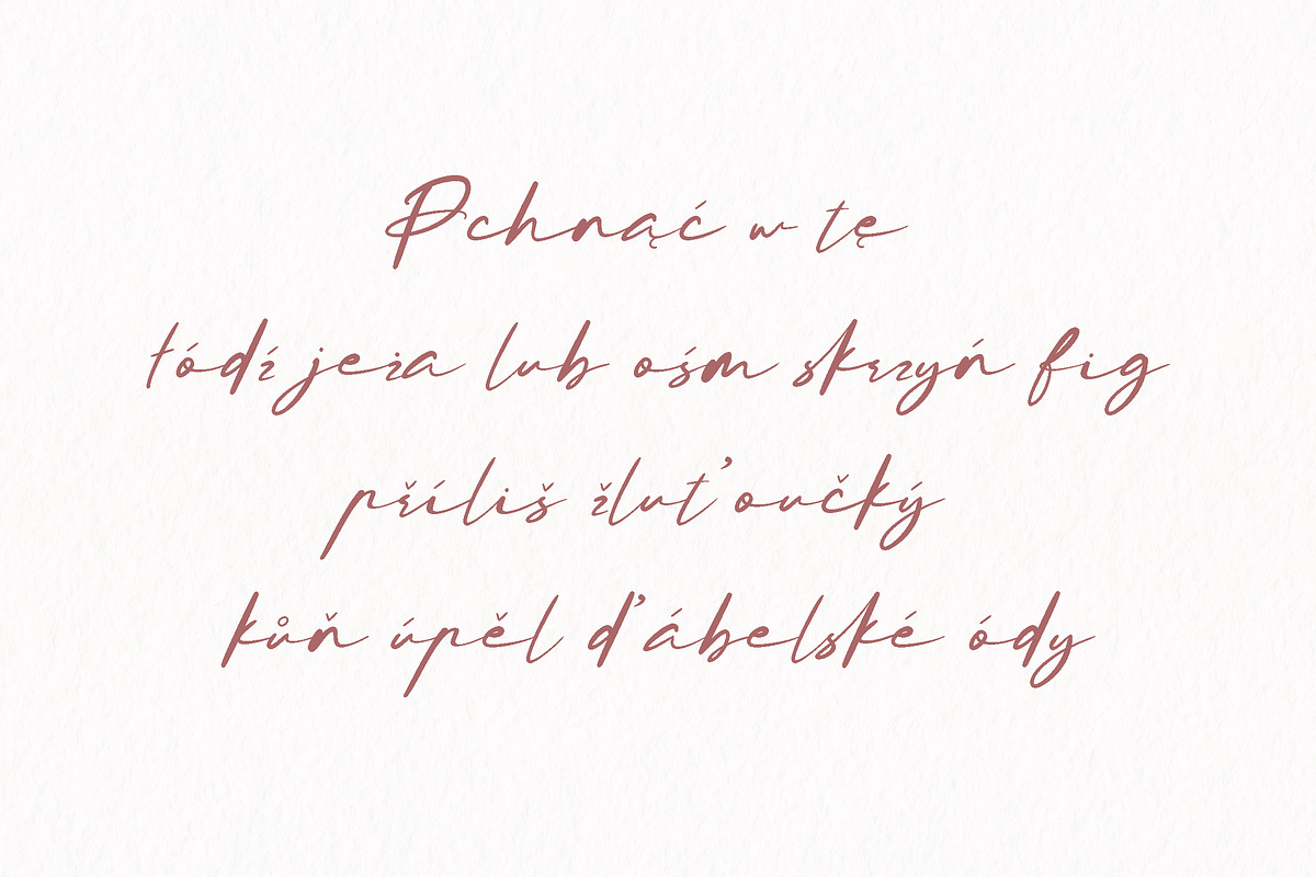 Koddam Miolin amazing script font, a Script Font by Fontcastle (Photo 4 of 7)