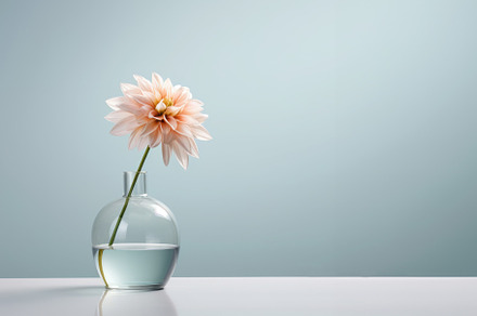 Pink peony stock photo containing peony and peonies preview 6