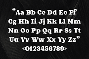Guckly | Display Font, a Serif Font by Twicolabs Fontdation (Thumbnail 9 of 9)
