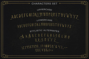 HavaShine Typeface with Extras, a Serif Font by StoricType (Thumbnail 4 of 9)
