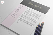 Professional CV & C.Letter templates, a Resume Template by Emaholic Template (Thumbnail 5 of 6)