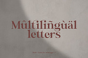 Wastinger Elegant Display, a Serif Font by Typetemp Studio (Thumbnail 14 of 16)