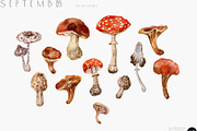 SEPTEMBER Watercolor Fall Set, an Object Graphic by Kaleriia (Thumbnail 7 of 13)