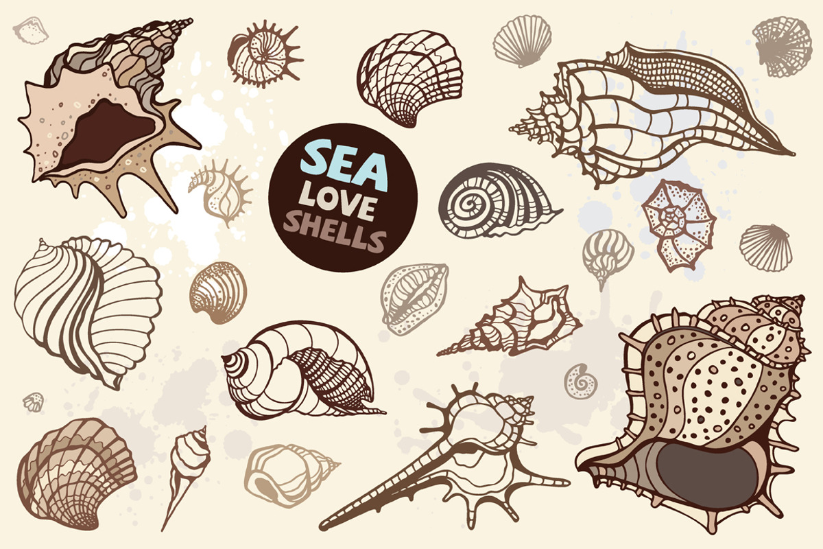 Sea Love Shells. Vector set, an Illustration by katyau (Photo 1 of 5)