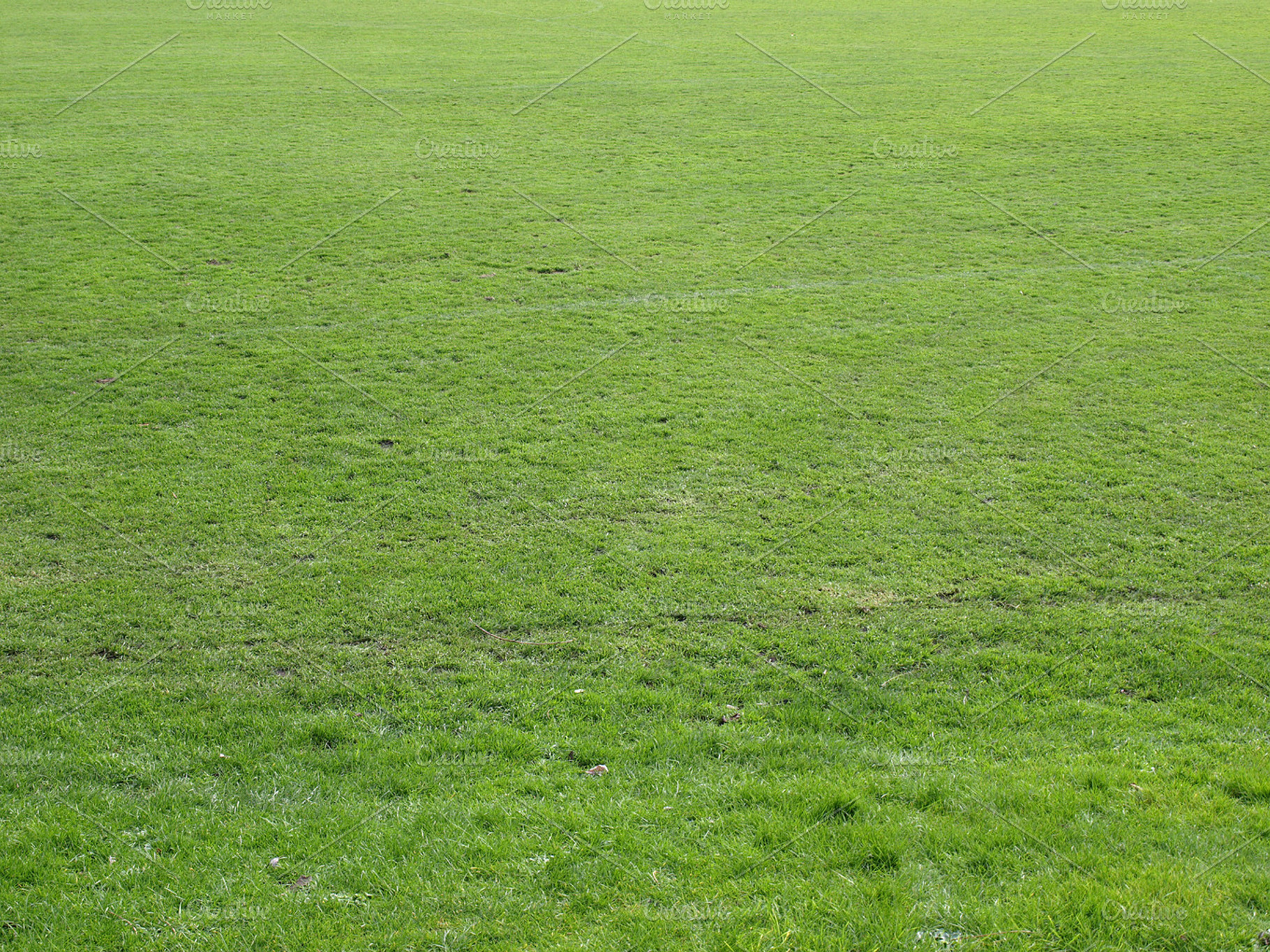Grass Featuring Nature Background And Meadow
