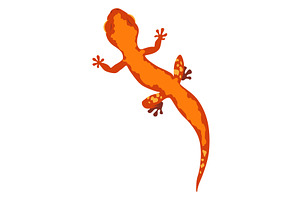 Lizard icon. Tropical colorful, an Animal Illustration by Things for designers