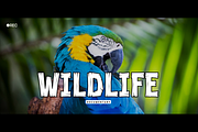 Realwood - Display Font, a Sans Serif Font by Sronstudio (Thumbnail 3 of 18)