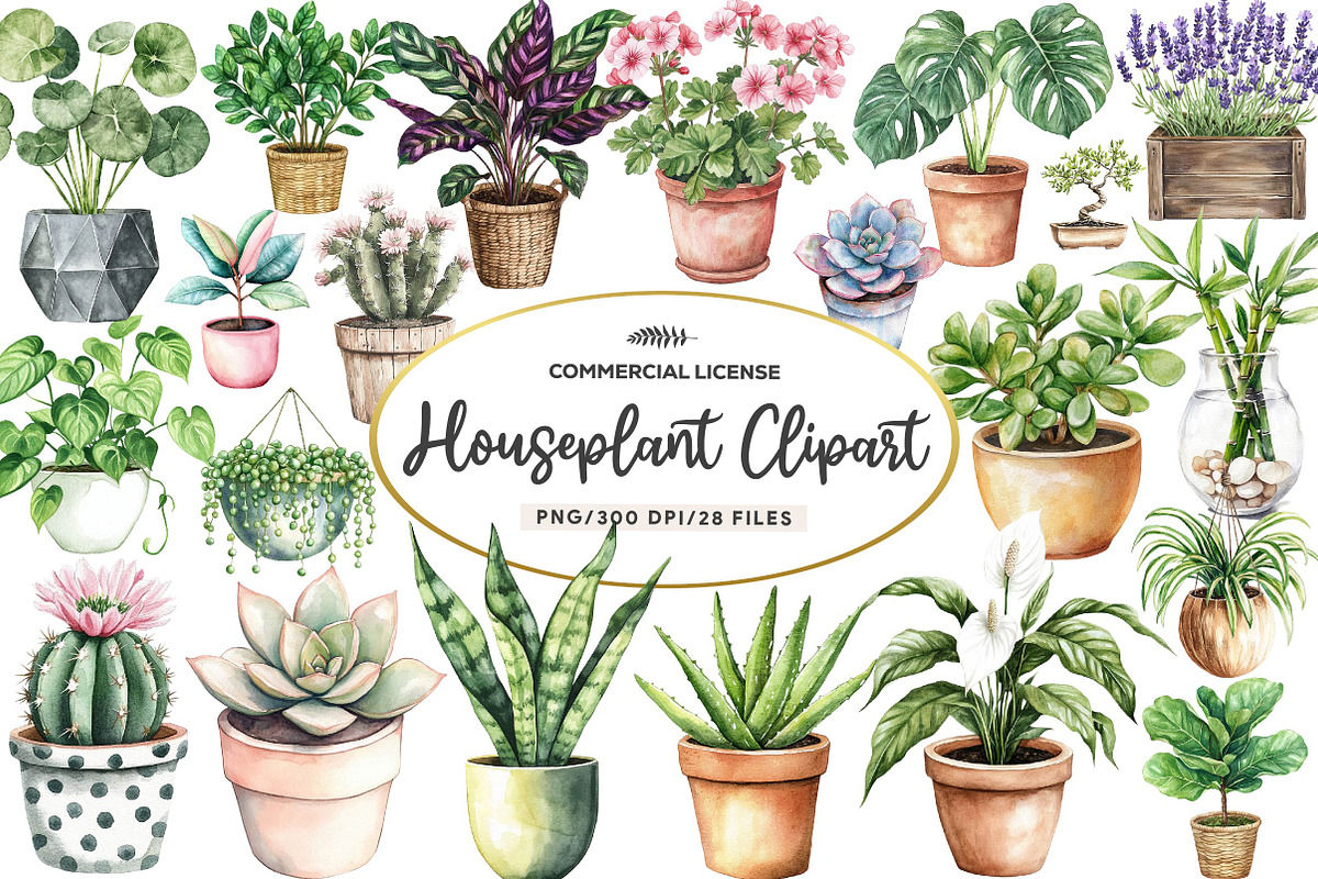 Watercolor Houseplant Clipart, an Illustration by CreationArt (Photo 1 of 5)