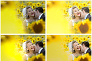 45 Sunlight II Lightroom Presets, a Preset Add-On by Pastel Presets (Thumbnail 3 of 4)