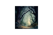 Gothic Old Forest Backgrounds, a Background Graphic by PcuDesigns Illustrations (Thumbnail 3 of 3)