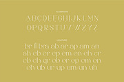 Brillant - Stylish Ligature Serif, a Serif Font by suhadidesign (Thumbnail 10 of 10)