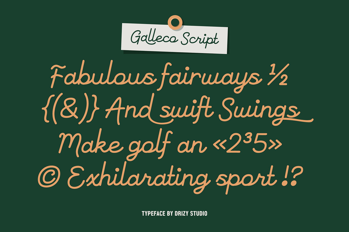 Galleco Script – Monoline Cursive, a Script Font by Drizy (Photo 2 of 10)