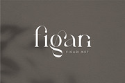Fragier unique ligature serif font, a Serif Font by suhadidesign (Thumbnail 2 of 14)