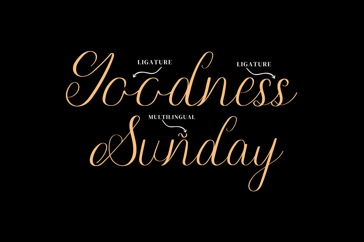 Brugundy Script Fonts, a Script Font by mahstudios (Photo 9 of 13)