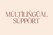 Nagista Modern Serif Font, a Serif Font by Letterena Studios (Thumbnail 11 of 15)