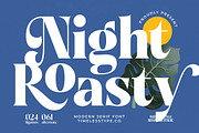 Night Roasty Modern Serif Font, a Script Font by timelesstype.co (Thumbnail 1 of 20)