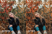 15 Fall Lightroom Presets, a Preset Add-On by TheWayfarerShoppe (Thumbnail 6 of 6)
