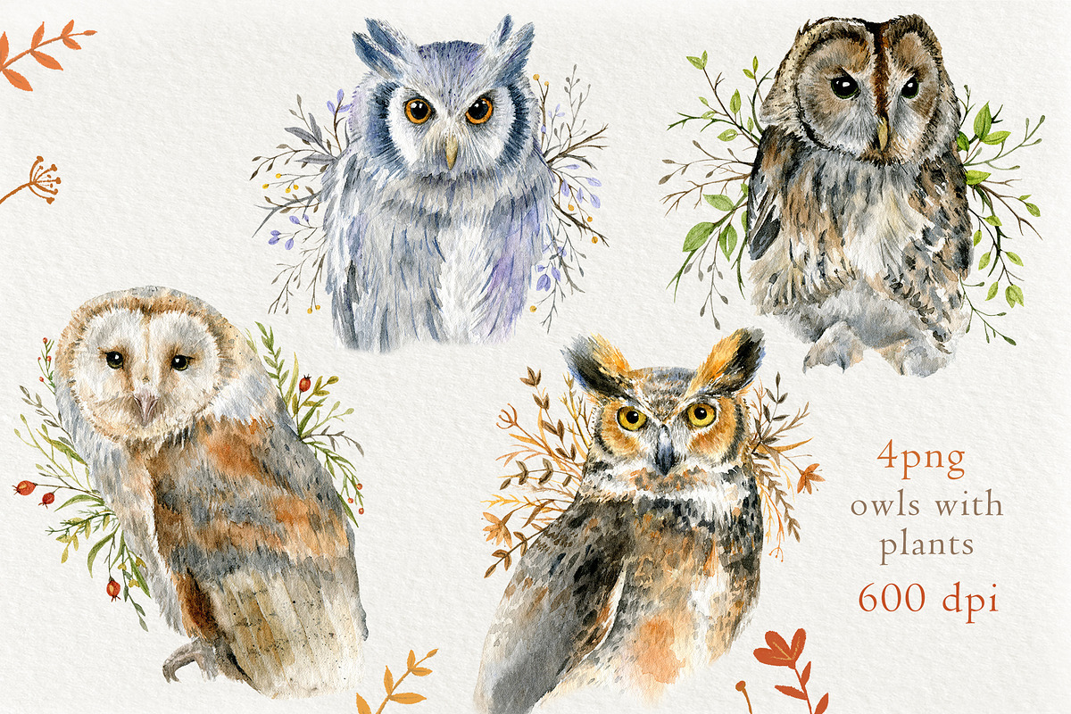 Watercolor Owls set, an Animal Illustration by Nastilustra (Photo 3 of 4)