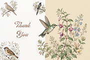 Vintage Garden Birds Illustrations, a Decorative Illustration by youtoview (Thumbnail 17 of 17)