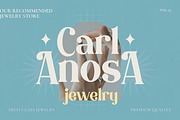 Bringster - Modern Serif Font, a Serif Font by Fype Co. (Thumbnail 2 of 5)