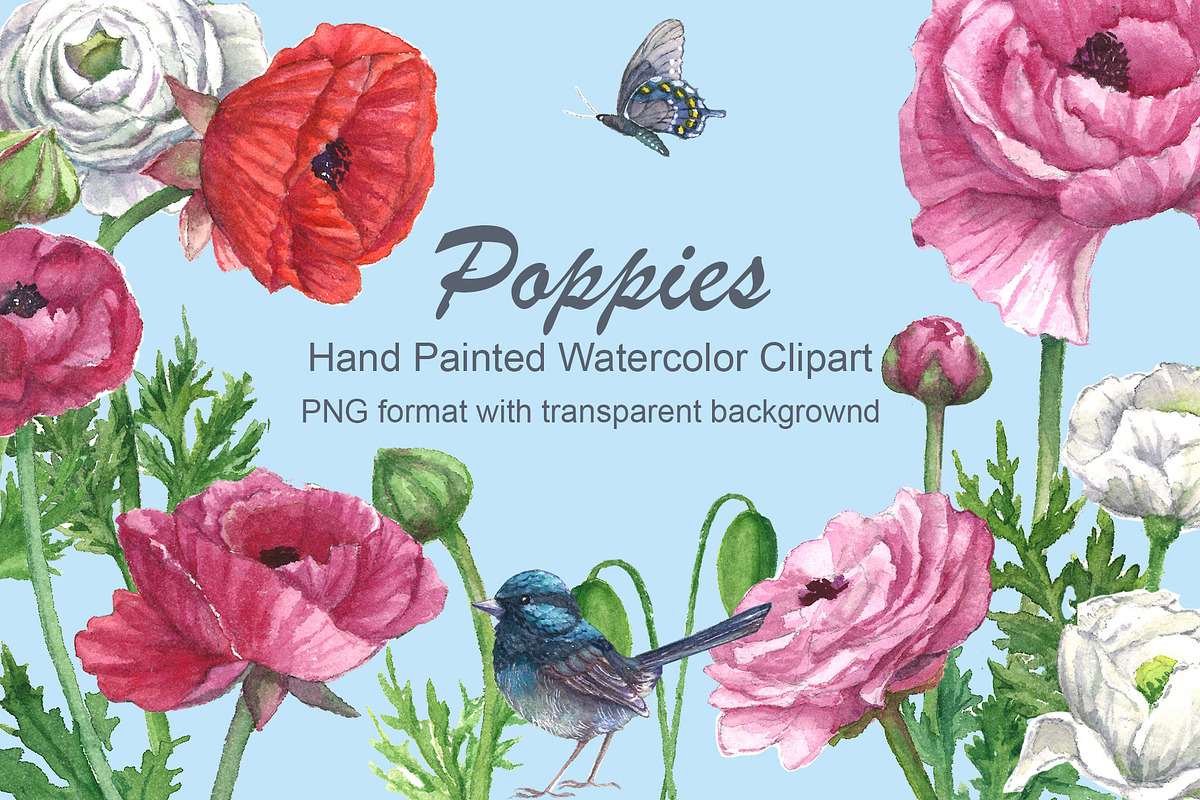 Poppies@Bird Watercolor Clipart, a Decorative Illustration by IrStepShop (Photo 1 of 5)
