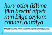 Ragik Sans, a Sans Serif Font by Hurufatfont (Thumbnail 10 of 14)