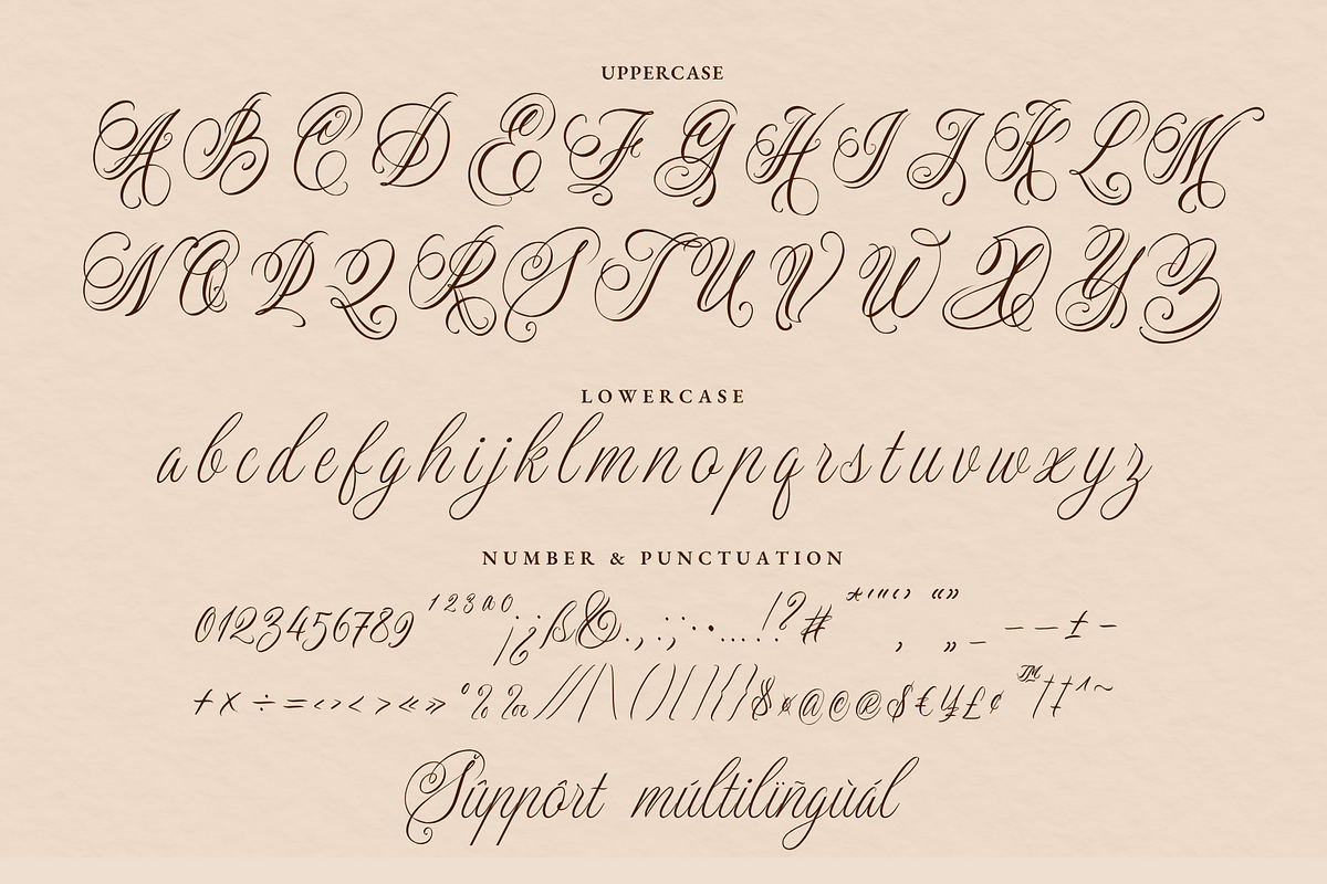 Dellatino - An Elegant Script Font, a Script Font by Ainun Jinan (Photo 11 of 12)