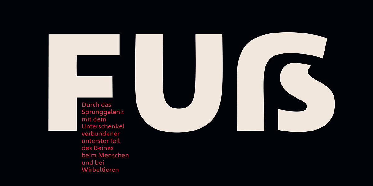 Geóso, a Sans Serif Font by Finaltype (Photo 13 of 19)
