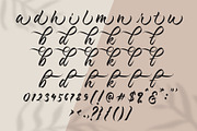 Kashina Brush Script, a Script Font by Debut Studio (Thumbnail 9 of 9)