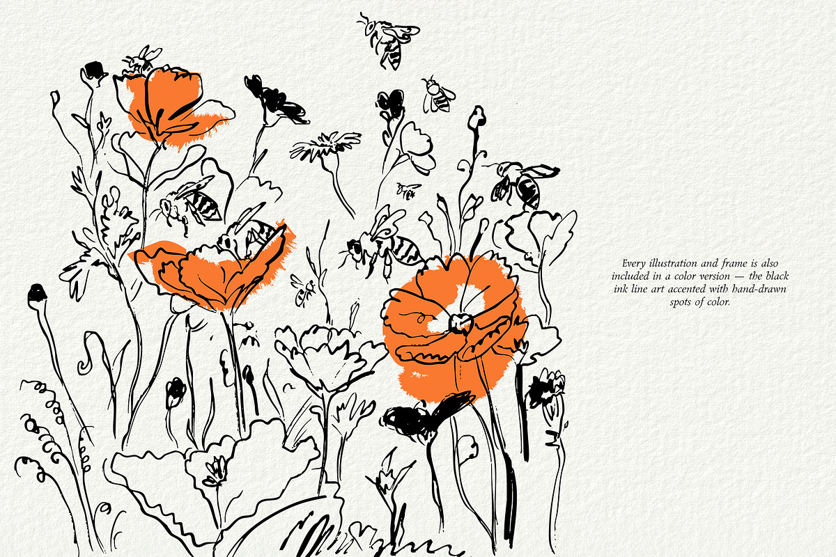 New Perennial Garden Wedding, a Decorative Illustration by divanovskaya_nv (Photo 15 of 27)