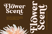 Regina Morise Classy Retro Serif, a Serif Font by timelesstype.co (Thumbnail 15 of 20)