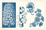 Vintage Flower Illustrations, a Decorative Illustration by Mr Vintage (Thumbnail 13 of 13)