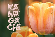 Jinsei | Japanese Solid Brush, a Handwritten Font by Denustudios (Thumbnail 2 of 12)