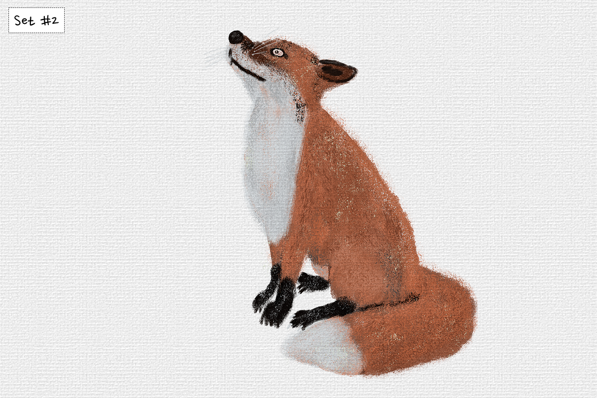 Procreate Dry Brushes | BUNDLE, a Brush Add-On by Brush Moment (Photo 8 of 17)