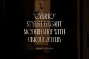 Cyrano - Unique Serif Typeface, a Serif Font by Dharmas Foundry (Thumbnail 2 of 16)